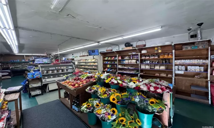 840 Carman Avenue, North Hempstead, NY, ,Business Opportunity,For Sale,Carman,L3579428