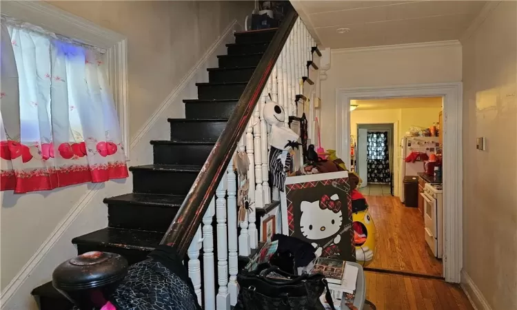 Staircase featuring ornamental molding and hardwood / wood-style floors