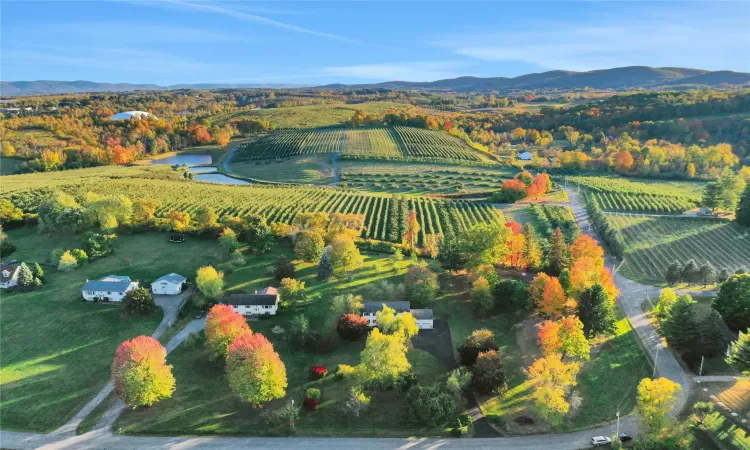 Drone / aerial view featuring a mountain view and a rural view