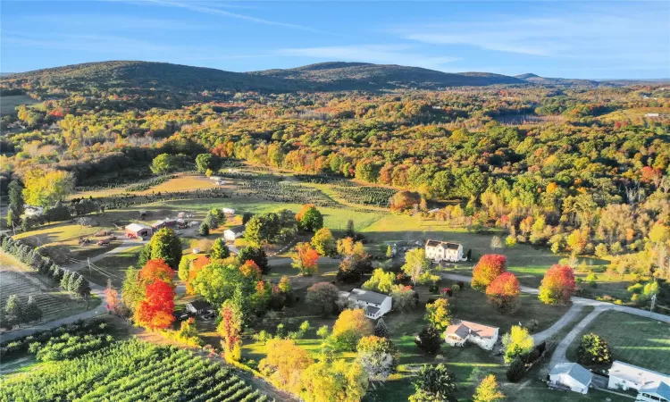 Aerial view with a mountain view