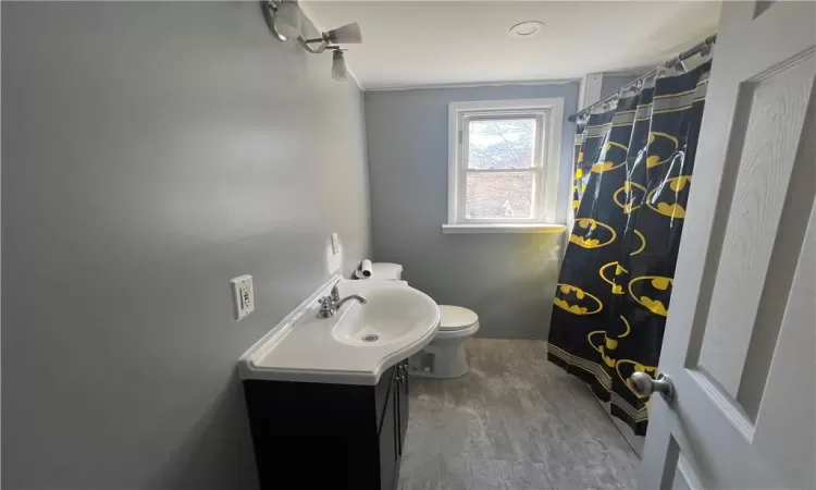 Bathroom with vanity, toilet, and wood-type flooring