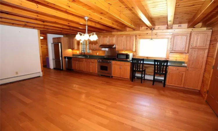 Kitchen with light wood-type flooring, pendant lighting, sink, stainless steel appliances, and a baseboard heating unit