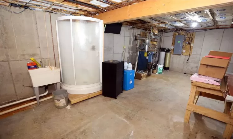 Basement with shower and sink