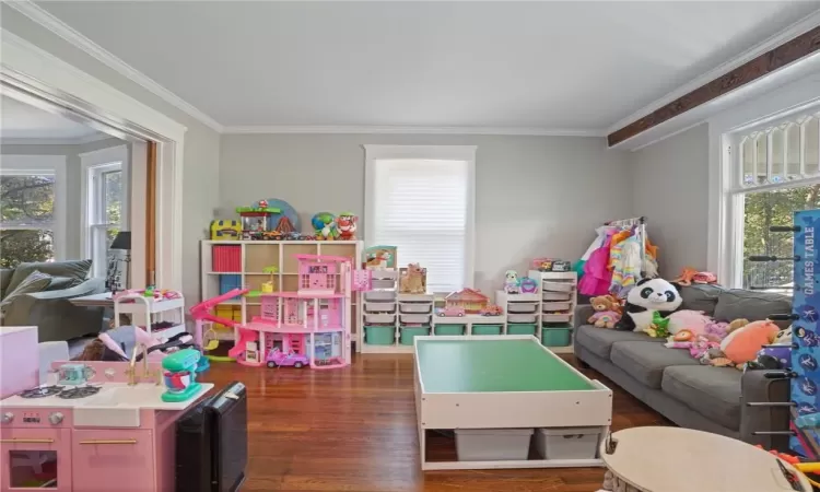 Recreation room featuring plenty of natural light, dark hardwood / wood-style flooring, and crown molding