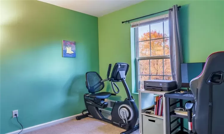 Exercise area featuring carpet flooring