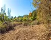 Clearing near Dodge Road