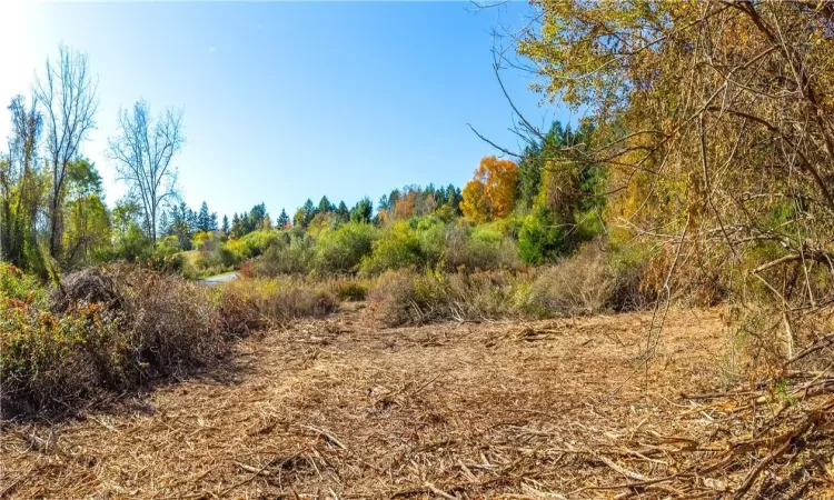 Clearing near Dodge Road