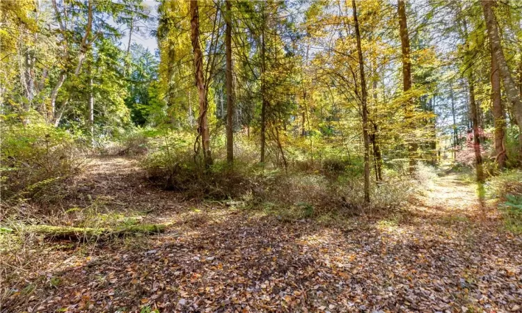 Trail near Dodge Road