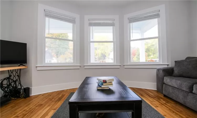 Living room featuring hardwood / wood-style flooring and a wealth of natural light