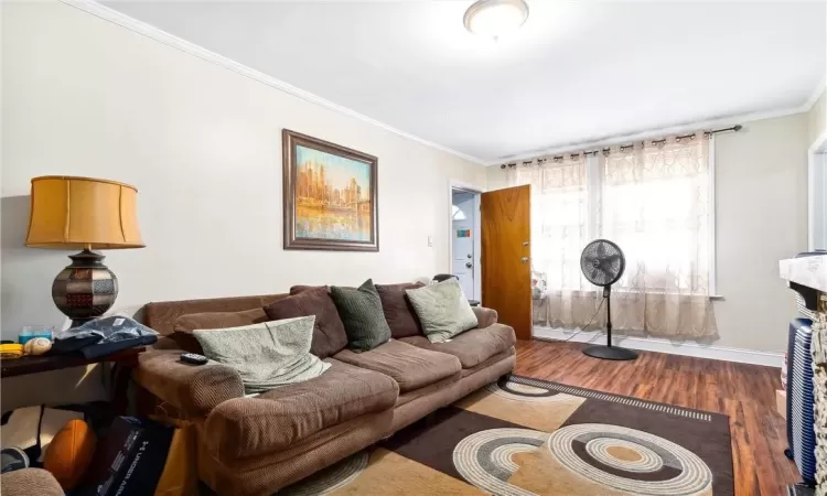 Living room featuring crown molding and dark hardwood / wood-style floors