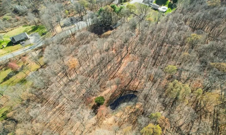 property extends just beyond the pond to the road (Roosa Gap)