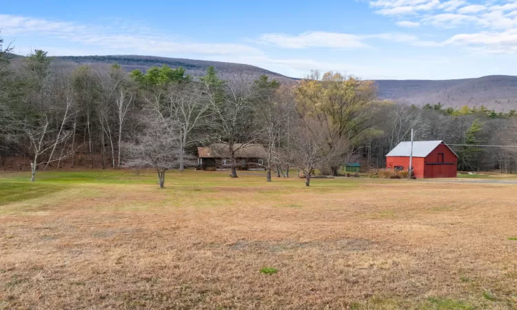 View of yard featuring a mountain view