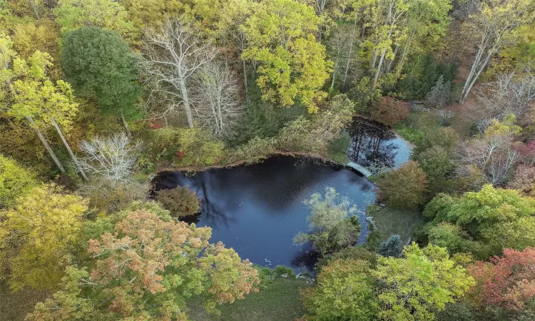 Bird's eye view featuring a pond