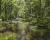 Access to Black Lake Creek for Fishing