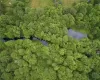 Aerial view of Black Lake Creek