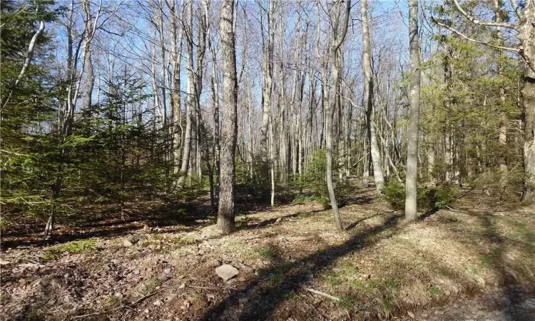 183 Revonah Hill Road, Liberty, NY, ,Land,For Sale,Revonah Hill,H6227985