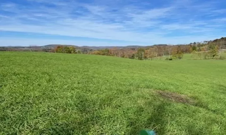 03 Bauernfeind Road, Delaware, NY, ,Land,For Sale,03 Bauernfeind,H6213451