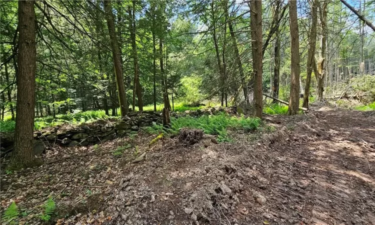 Lot 81.4 County Road 114, Cochecton, NY, ,Land,For Sale,County Road 114,H6282044