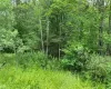 Ballard Road, Bethel, NY, ,Land,For Sale,Ballard,H6195936