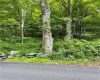 Wiccopee Road, Putnam Valley, NY, ,Land,For Sale,Wiccopee,H6289214