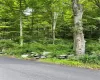 Wiccopee Road, Putnam Valley, NY, ,Land,For Sale,Wiccopee,H6289214