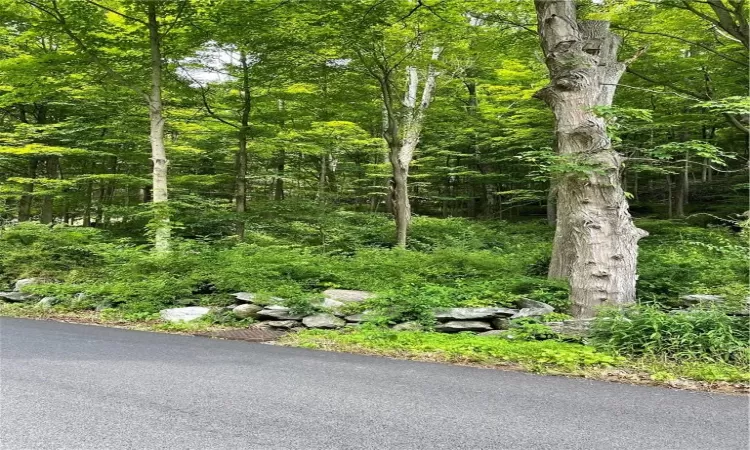 Wiccopee Road, Putnam Valley, NY, ,Land,For Sale,Wiccopee,H6289214