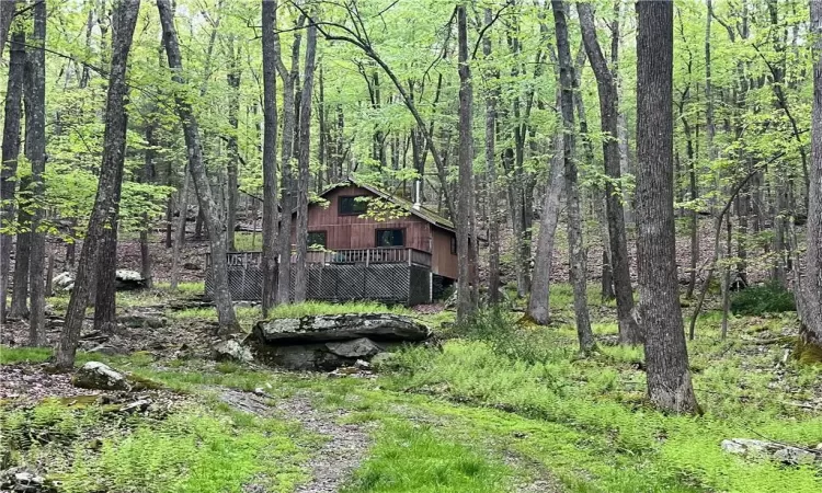 Cabin View