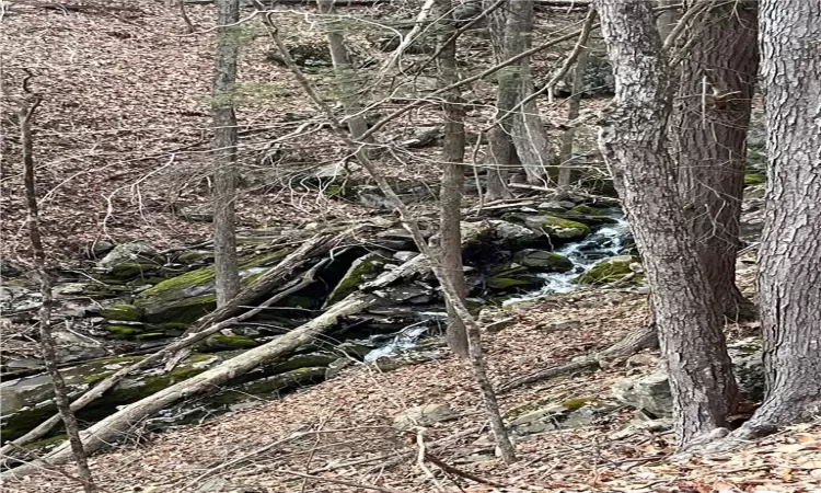 Brook that runs through the property