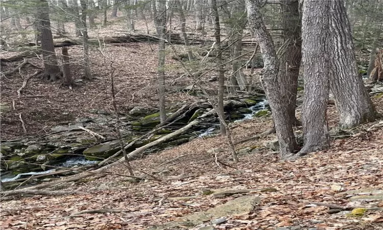 Brook that runs through the property