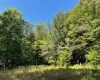 View of landscape over looking possible pond