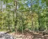 Crest Road, Philipstown, NY, ,Land,For Sale,Crest,H6296369