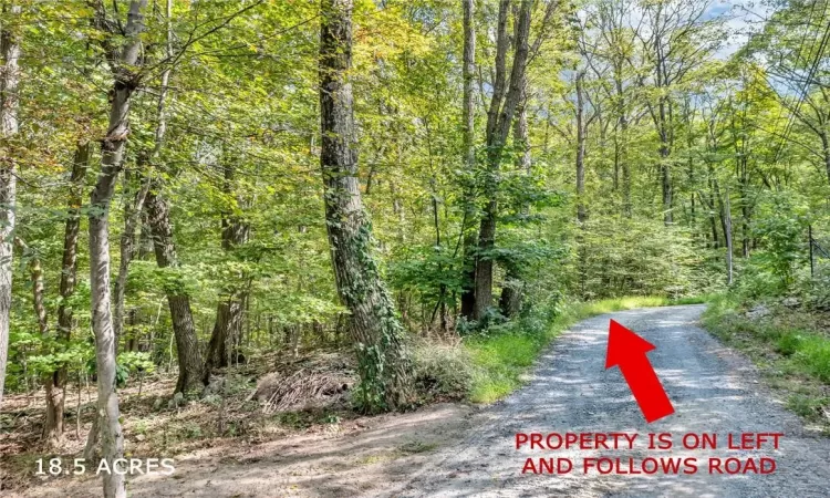 Crest Road, Philipstown, NY, ,Land,For Sale,Crest,H6296369