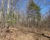 Amys Lane, Austerlitz, NY, ,Land,For Sale,Amys,H6303451