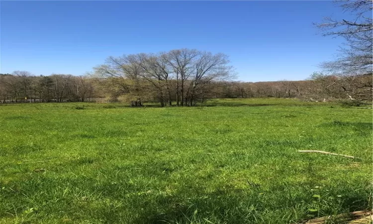 Looking from one end of property towards  other end at tree line.