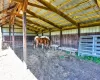 View of horse barn