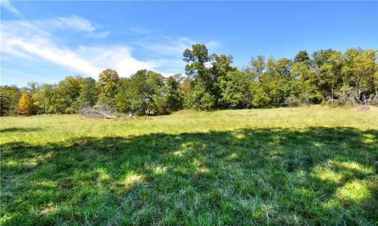 View of local wilderness with a rural view