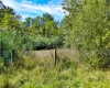 View of pond looking from the  street towards parcel