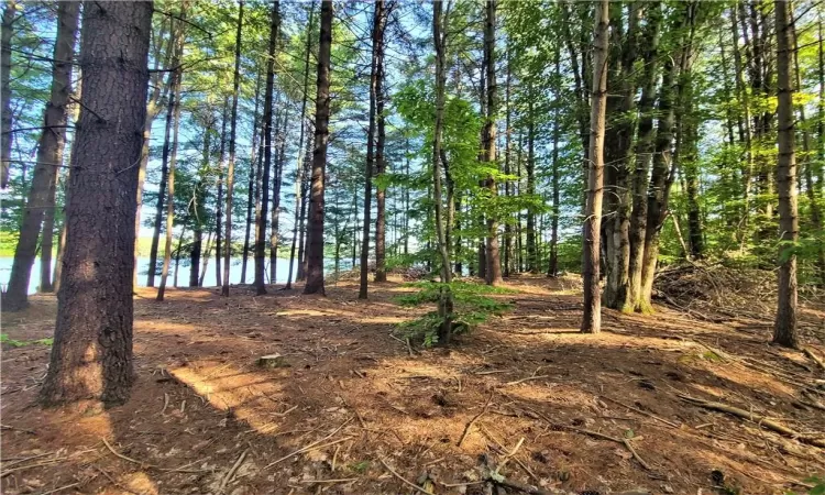 TBD Woodstone Trail, Bethel, NY, ,Land,For Sale,Woodstone,H6305858