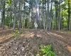 TBD Woodstone Trail, Bethel, NY, ,Land,For Sale,Woodstone,H6305858