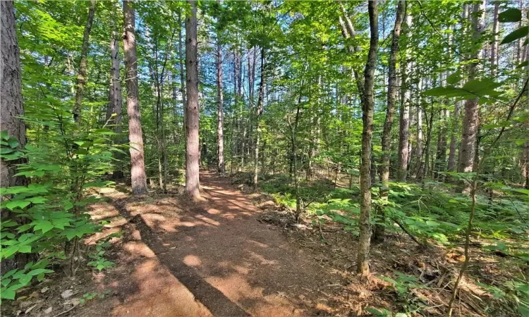 TBD Woodstone Trail, Bethel, NY, ,Land,For Sale,Woodstone,H6305858