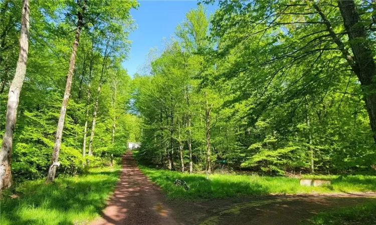 Long private driveway