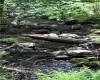 View of local wilderness featuring a water view