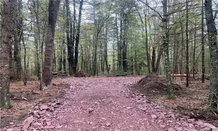 Lot 1 Van Tuyl Road, Lumberland, NY, ,Land,For Sale,Van Tuyl,H6308699