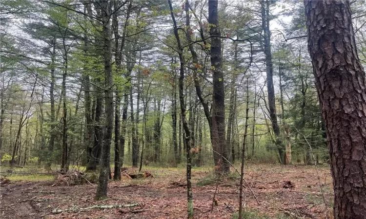 Lot 1 Van Tuyl Road, Lumberland, NY, ,Land,For Sale,Van Tuyl,H6308699