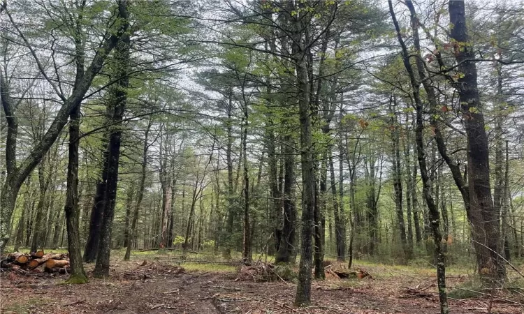 Lot 1 Van Tuyl Road, Lumberland, NY, ,Land,For Sale,Van Tuyl,H6308699