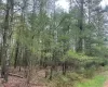 Lot 2 Van Tuyl Road, Lumberland, NY, ,Land,For Sale,Van Tuyl,H6308704