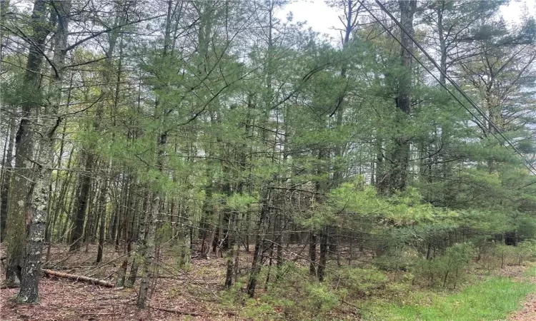 Lot 2 Van Tuyl Road, Lumberland, NY, ,Land,For Sale,Van Tuyl,H6308704