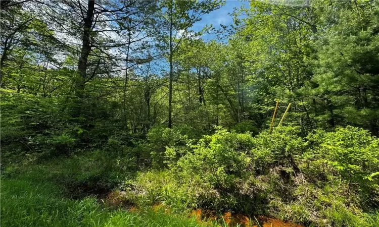 Taylor Road, Fallsburg, NY, ,Land,For Sale,Taylor,H6307603