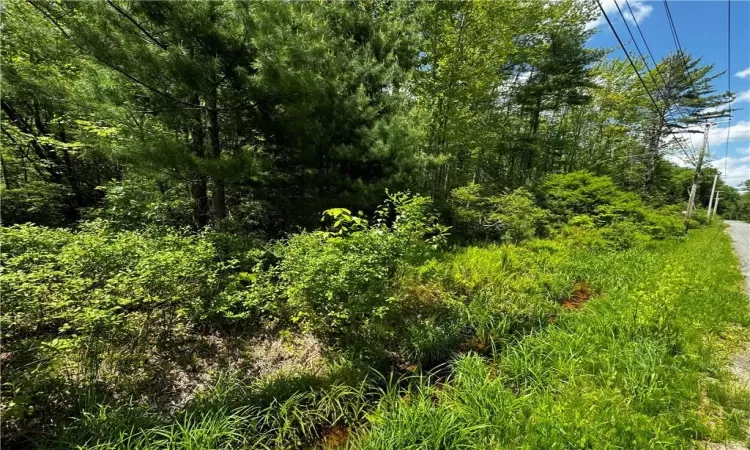 Taylor Road, Fallsburg, NY, ,Land,For Sale,Taylor,H6307603