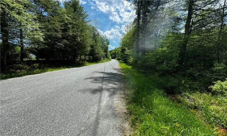 Taylor Road, Fallsburg, NY, ,Land,For Sale,Taylor,H6307603